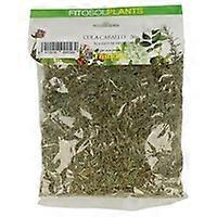 Horse tail 50 g