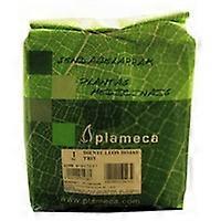 Witch Hazel Leaf Trit. 1 kg