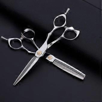 6 Inch Professional Hair Cutting Scissors Set with Thinning Shears, Precision Pivot Stability Silver
