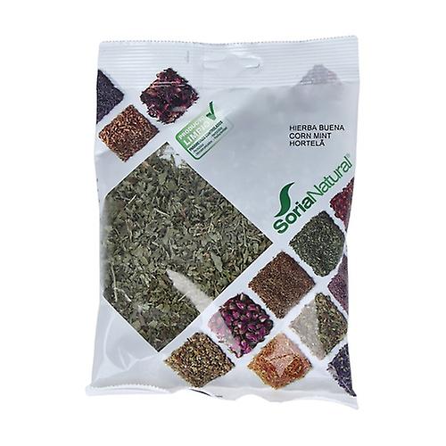 Peppermint Eco bag 30 g