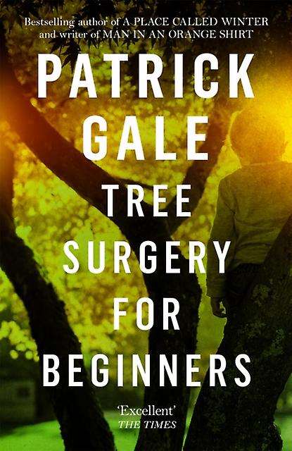 Tree Surgery For Beginners - Patrick Gale - Modern and contemporary fiction () - Headline Publishing Group - Paperback