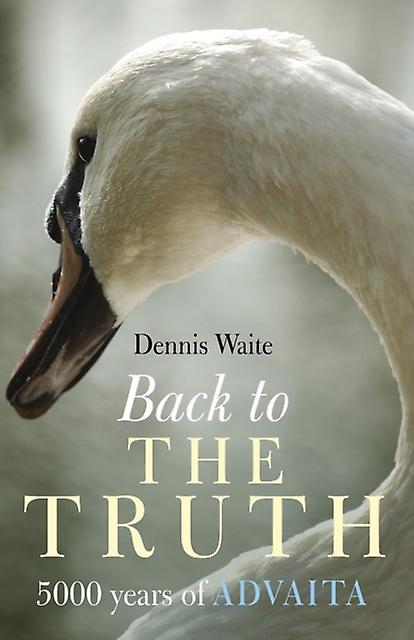 Back To The Truth  5000 Years Of Advaita by Dennis Waite Paperback