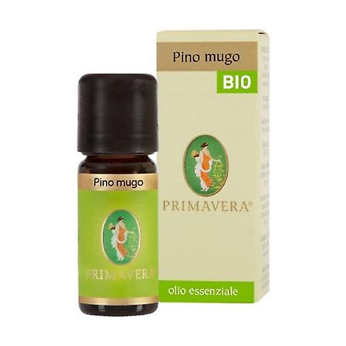 Mountain Pine Bio Essential Oil 10 ml of essential oil