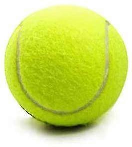 2-piece Tennis Championship Outdoor Cricket Beach Dog Toy Game Big Bounce