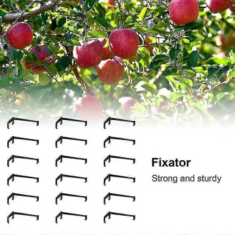 10pcs Fruit Tree Branches Holder Fruit Branch Spreader Tree Branch Support Frame Hfmqv
