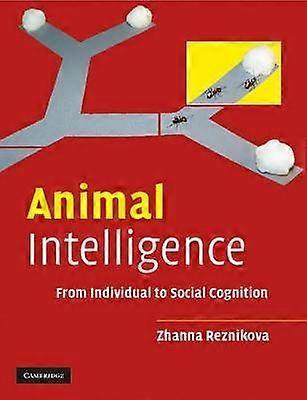 Intelligence animale