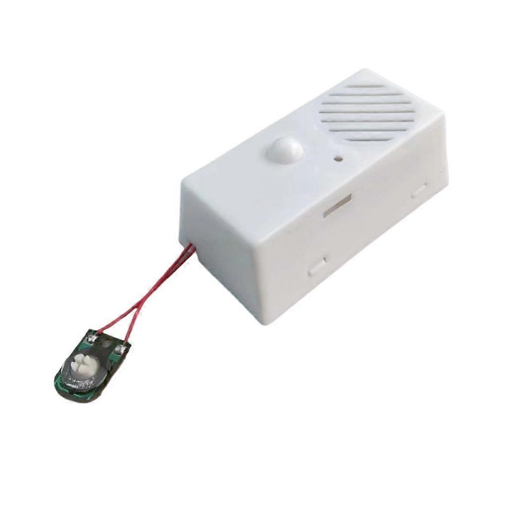 Interactived Sound Module Voice Module Music Box with Recording Features