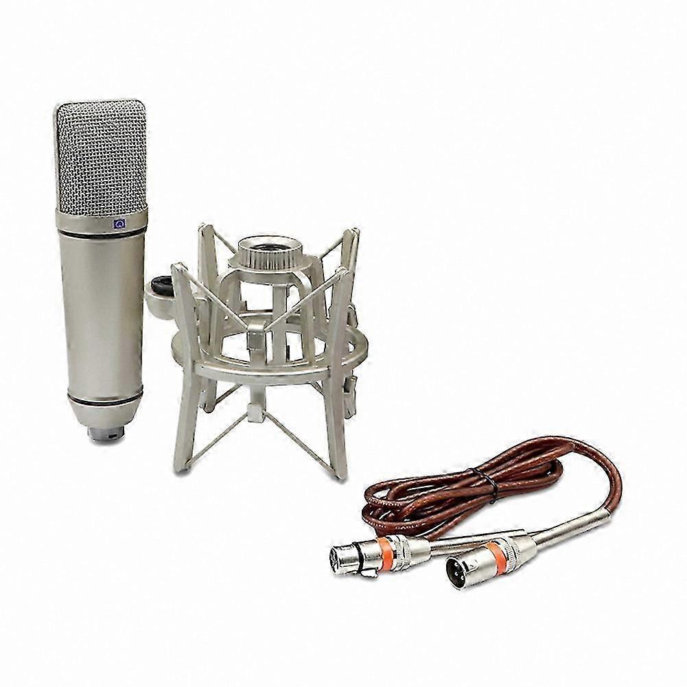 Cardioid Condenser Microphone for Studio Recording