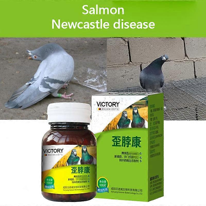 Probiotic Nutritional Supplements for Prevention and Treatment of Crooked Necks and Heads of Pigeons