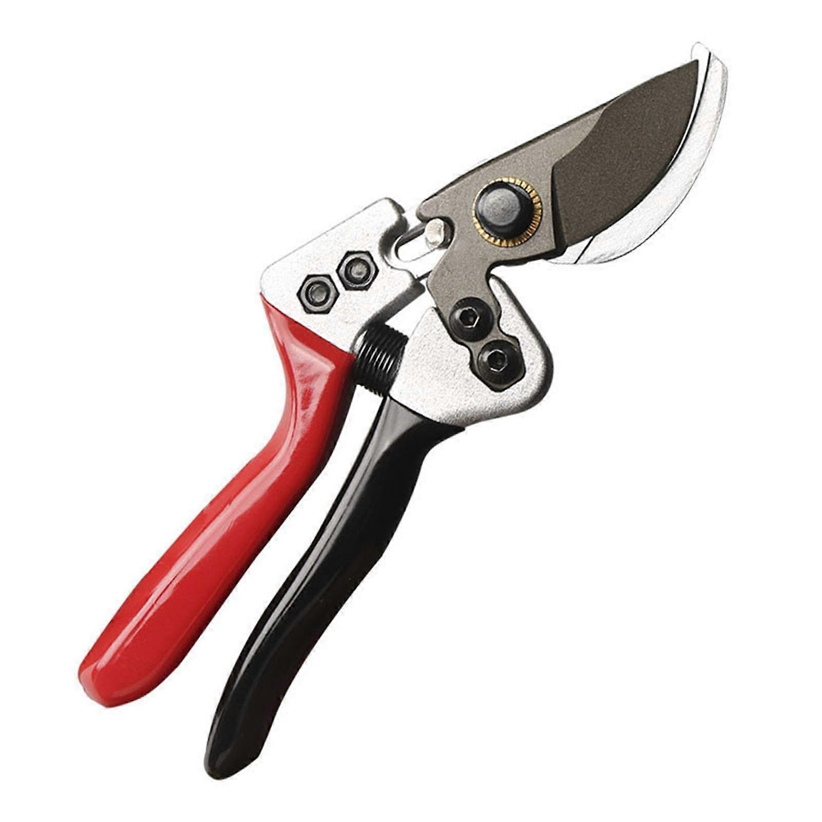Pruning Shears for Fruit Trees with Stainless Steel Garden Scissors and Ergonomic PVC Handle
