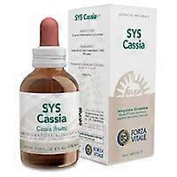 SYS Cassia 50 ml