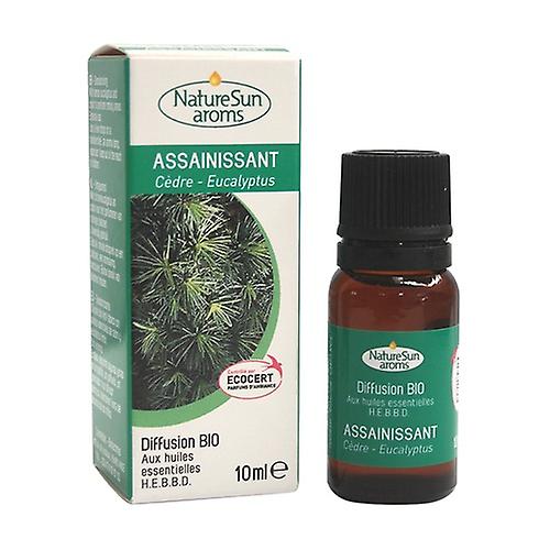 Organic sanitizing diffusion 10 ml of oil (Eucalyptus - Cedar)