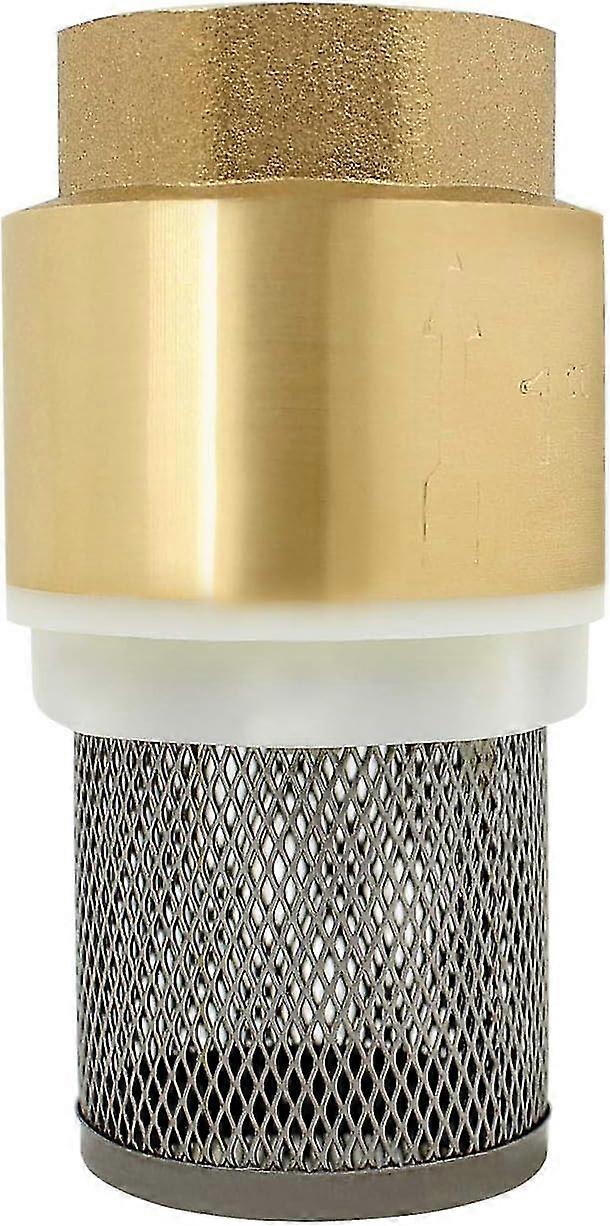 Clapet de pied avec crpine clapet anti-retour avec filtre pour tuyau d'aspiration poigne pompe pompe de jardin (1-1/2 pouce)