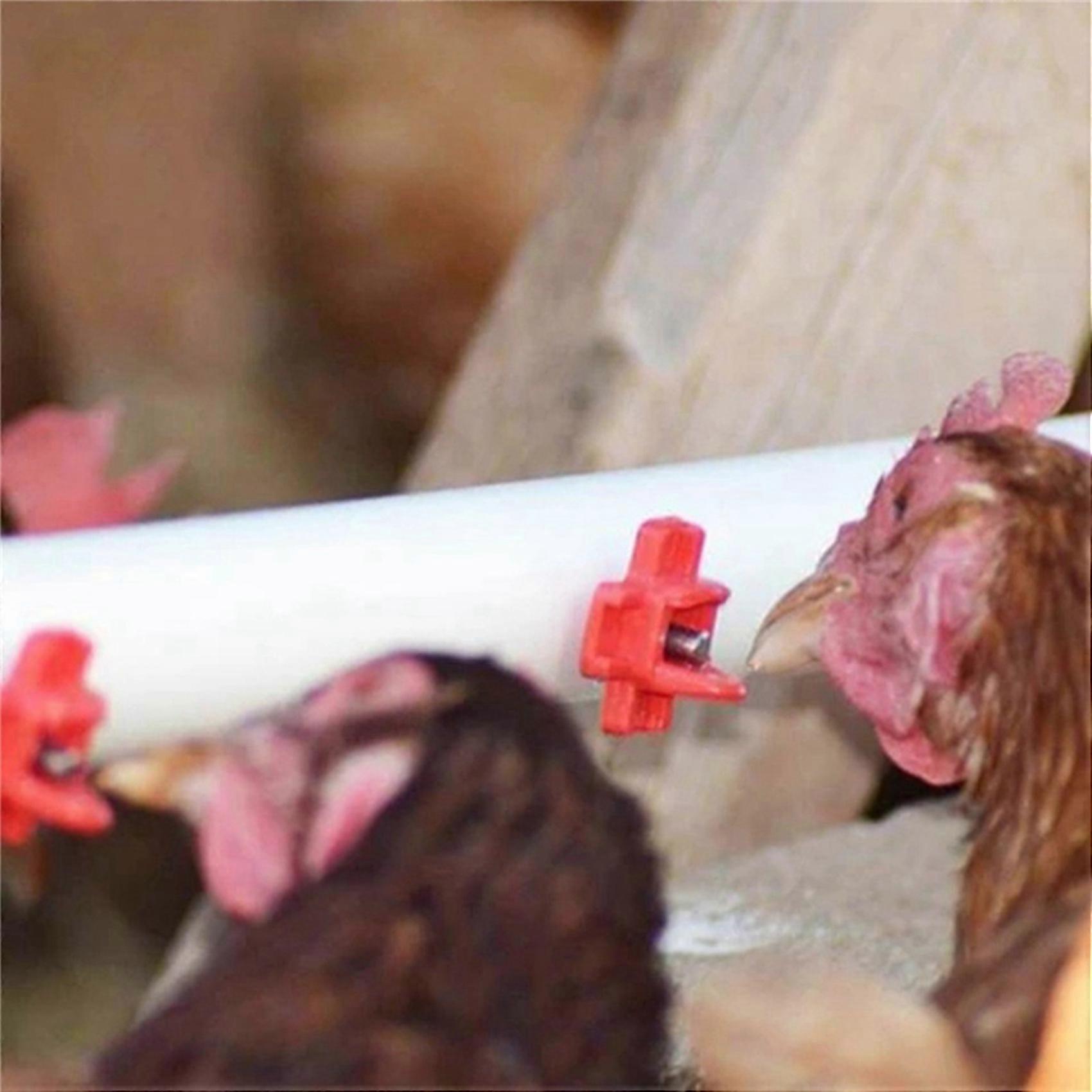 12 Pack - Horizontal Side Mount Automatic Poultry Nipples - Clean Drinker Waterer For Chicken Or Qu