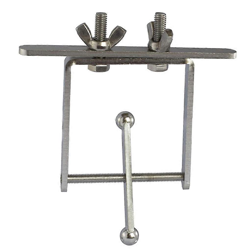 Bird Toy with Traveling Spinner Stainless Steel Spins on Axis Brain Teaser and Mind Game for Medium to for Extra Large B