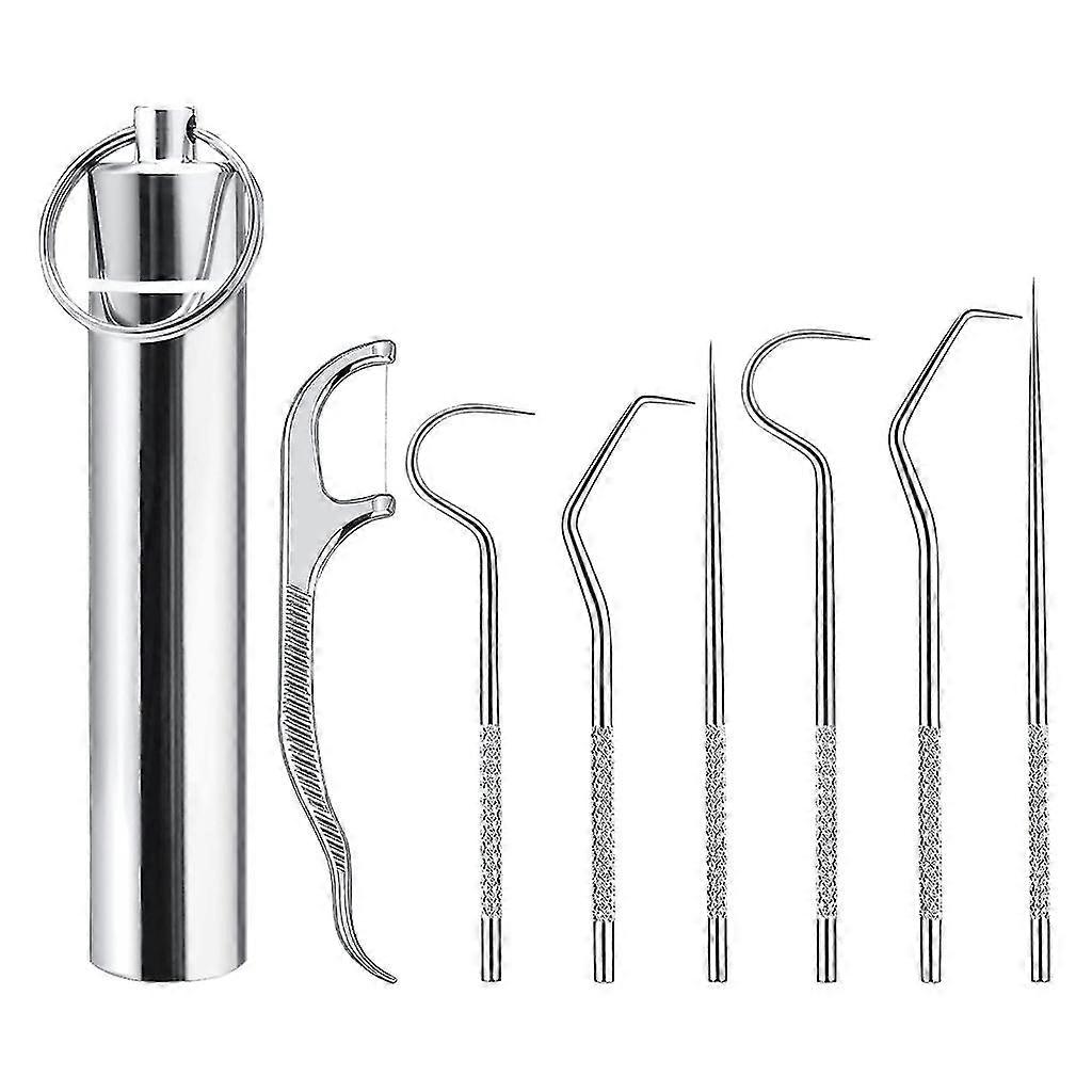 7pcs Stainless Toothpicks Pocket Set With Holder Dispenser, Tooth Cleaning Kit