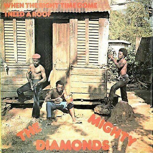 I Need a Roof CD (2006)