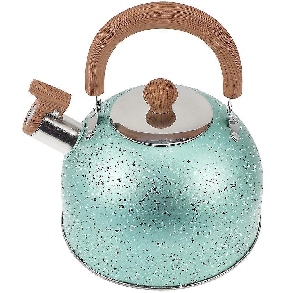 Stainless Steel Kettle with Wooden Handle Green Water Heating Kettle for Drinking 2.5