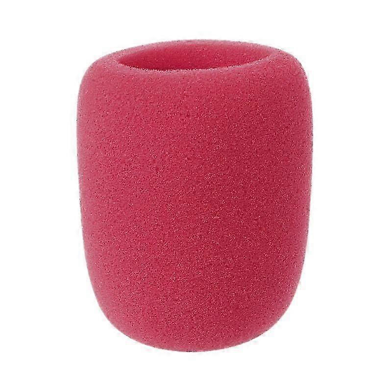 Professional Studio Windscreen Protective Grill Shield Sponge Microphone Cap