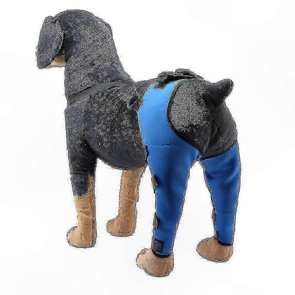 Post-Surgery Recovery Gear for Canine Hind Legs Protection and Support