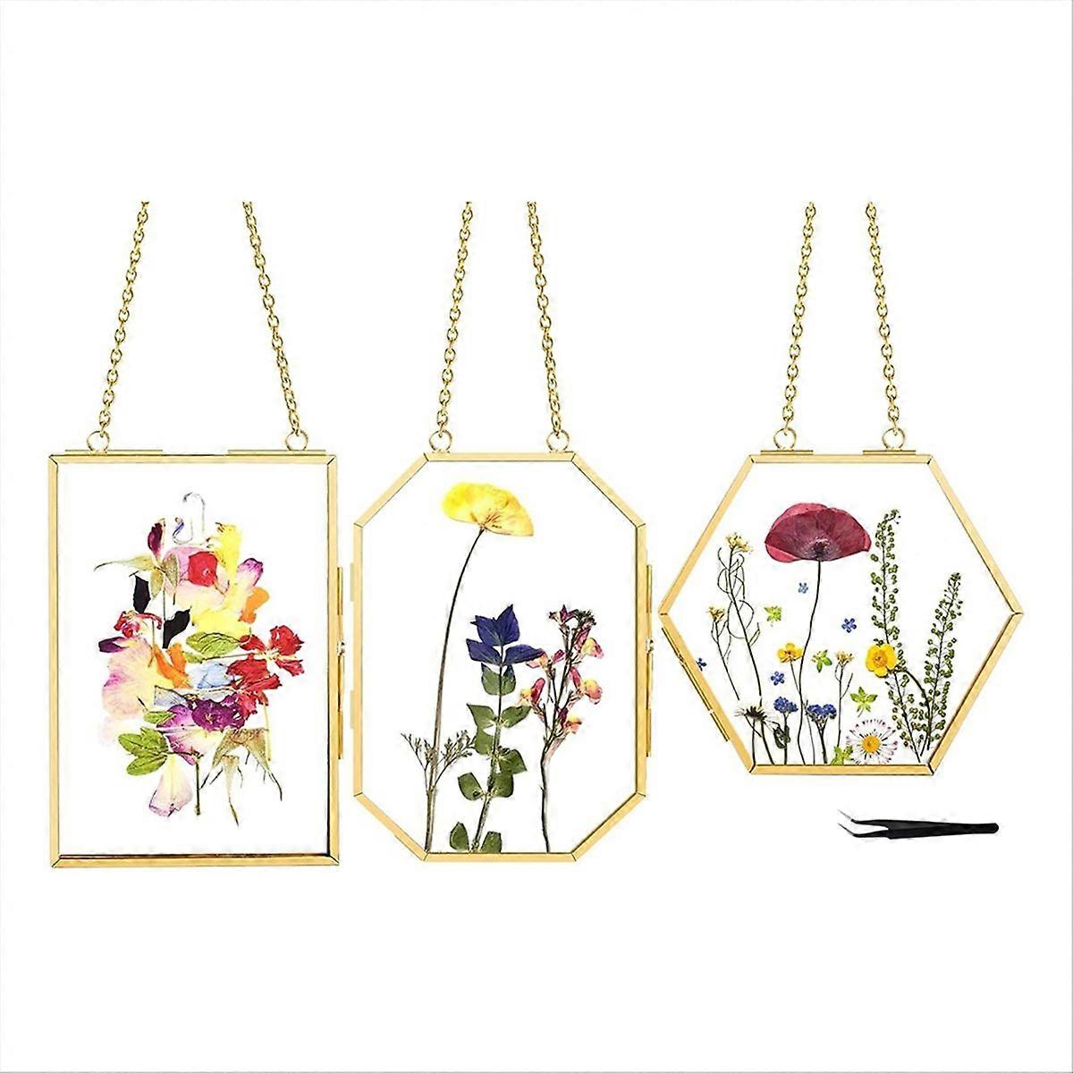 3 Pcs Pressed Flower Frames with Tweezers Wall Hanging