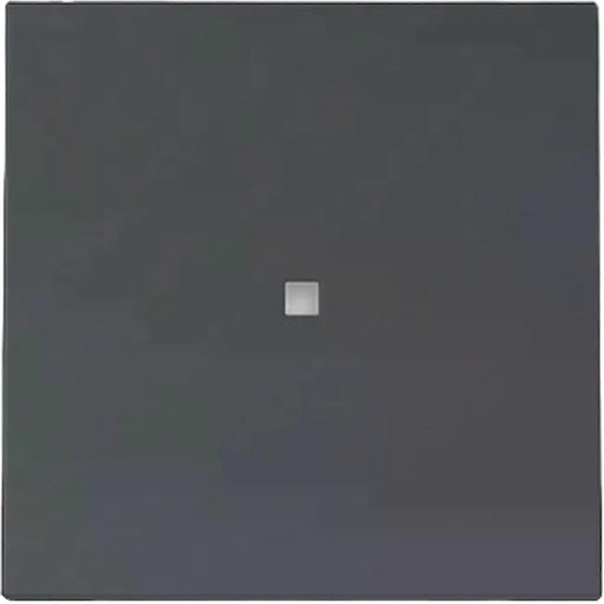 Gira Wippe, Kontrollf., System 55, Anthrazit, 1 Stk.