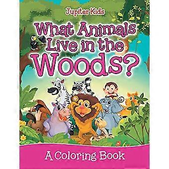 Hvilke dyr lever i skogen? (En fargeleggingsbok)