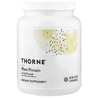 Thorne, Proteine ​​vegetali, Vaniglia, 1,39 lb (630 g)