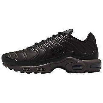 Nike Air Max Plus Premium Paris HJ4519-200