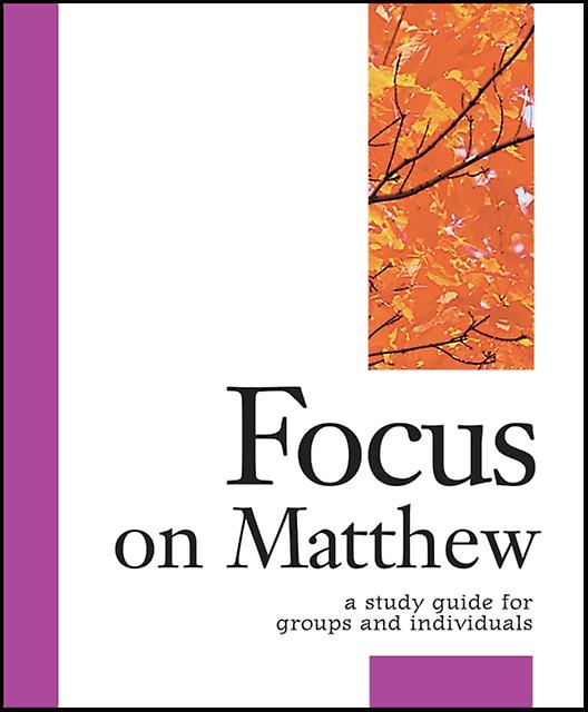 Focus On Matthew by Carol Cheney Donahoe Book Book