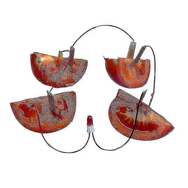 フルーツ供給 電気実験 子供 子供 学生 学習 科学 教育 おもちゃ Betterlifefg