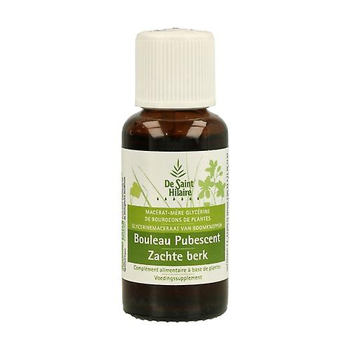 Organic Pubescent Birch Macerate 30 ml