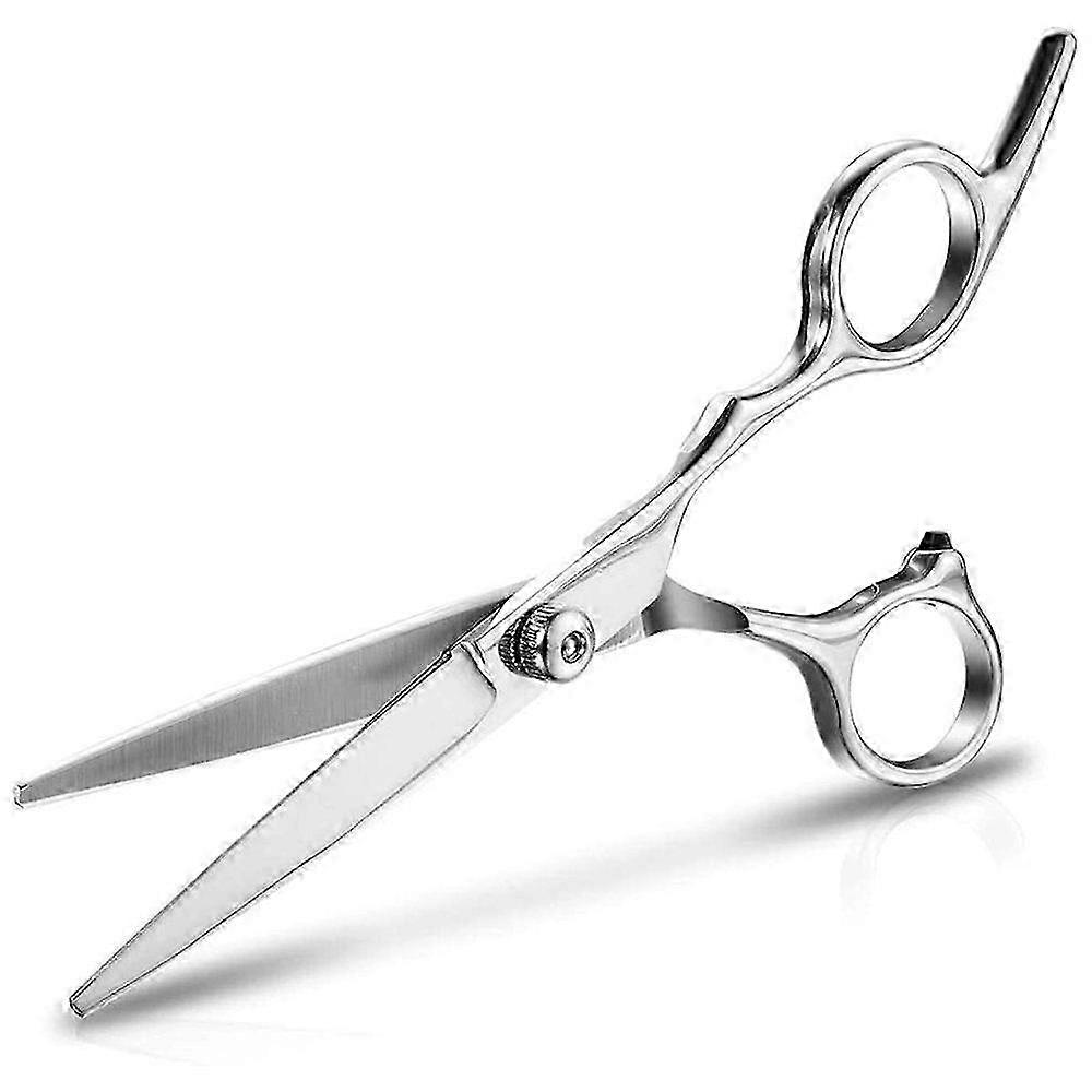 Scissors Barber Scissors 6 Inch Scissors Cut Stainless Steel Cutting Scissors
