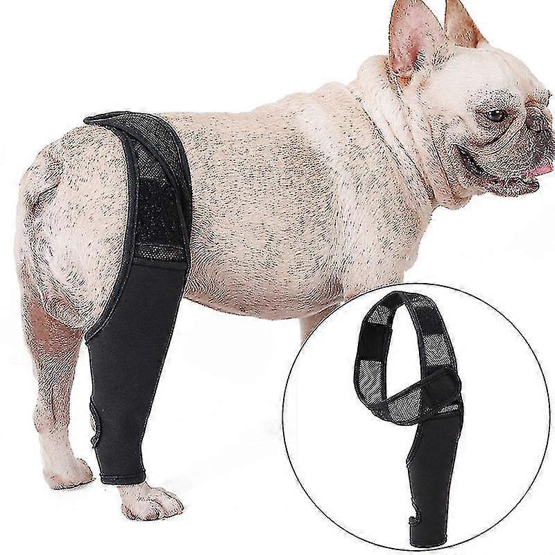 Genouillère de chien de compagnie pour Luxation de la rotule du LCA L’arthrite maintient l’articulation au chaud Soutien supplémentaire