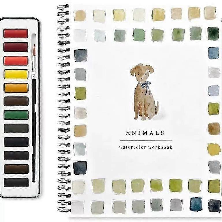 Quaderni di esercizi ad acquerello adatti ai principianti, set di colori ad acquerello a 12 colori