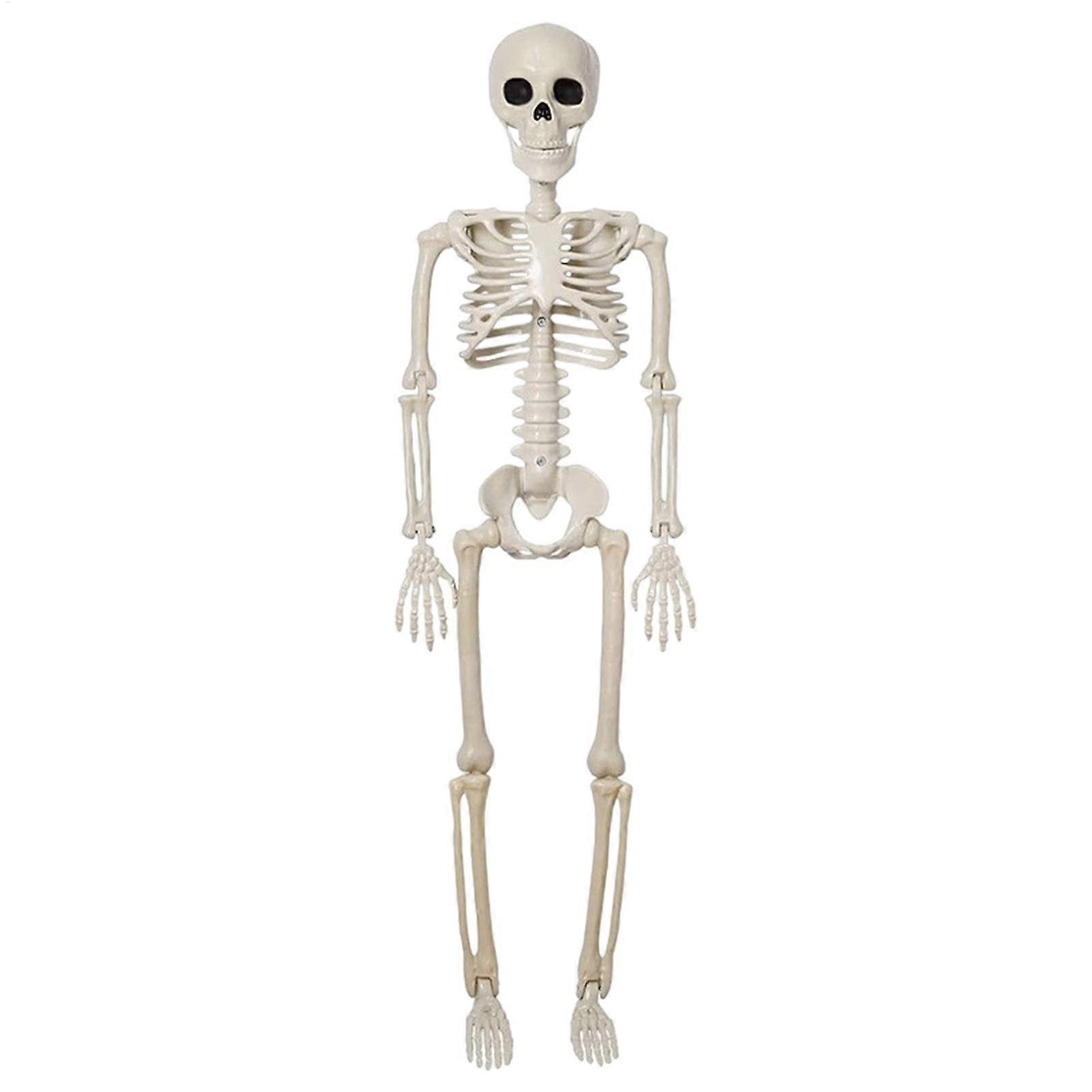 Halloween Skeleton Decorations - Standing Articulated Full-Body Skeleton, Movable Joints, Life-Size Skeleton Figure