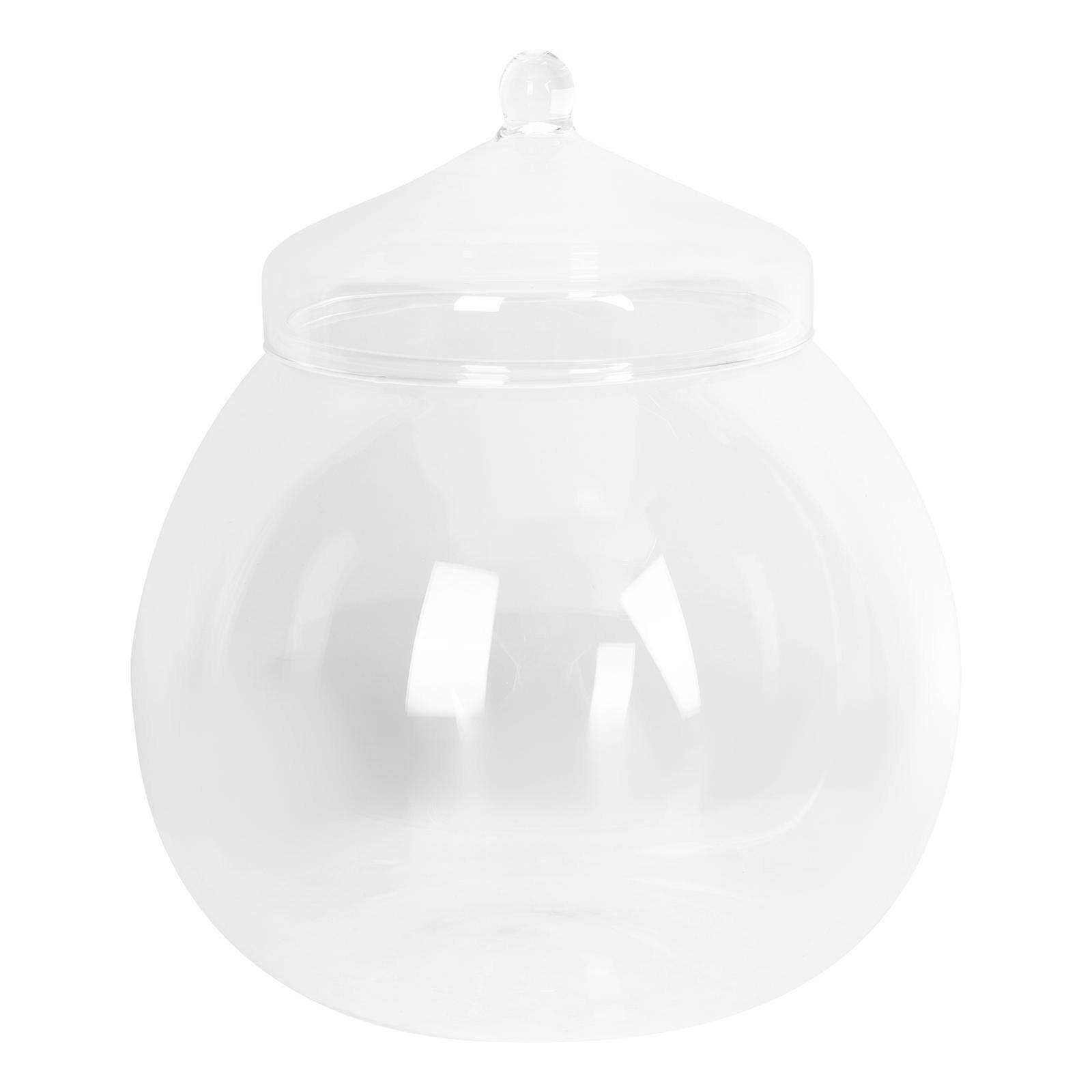 Glass Canister with Lid Terrarium Container for Decoration Use 3Sets