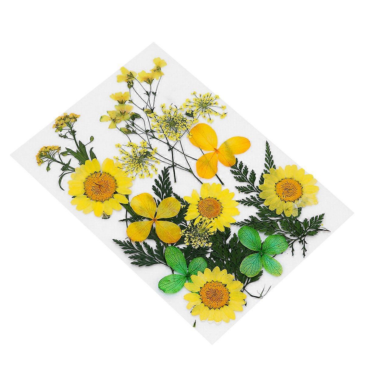 Pressed Flowers for Crafts Dried Flower Material Package with 1Set