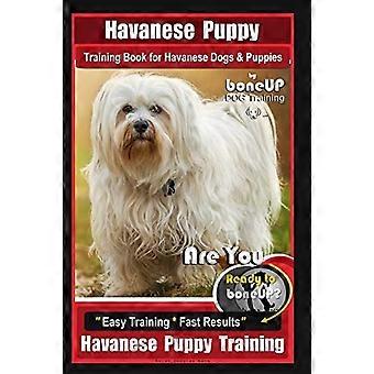 Hundetrainingsbuch für Havaneser-Welpen von BoneUP DOG Training: Sind Sie bereit für die Hundeerziehung? Einfaches Training * Schnelle Ergebnisse für Havaneser-Welpen