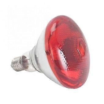 220V 100 - 275 watów E27 Czerwona lampa grzewcza na podczerwień dla kurczaków, kurnika lęgowego, piskląt, domowych