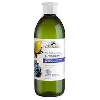 Antioxidant Shower Gel With Blueberry And Argan Extract Sensitive Skin 600 ml of gel