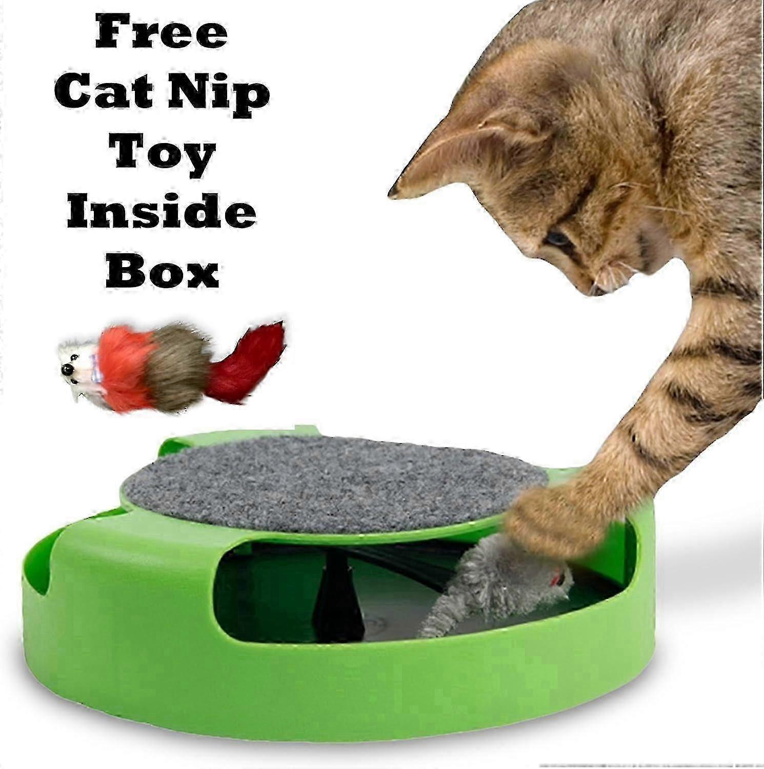 Motion Cat Toy Catch Mouse