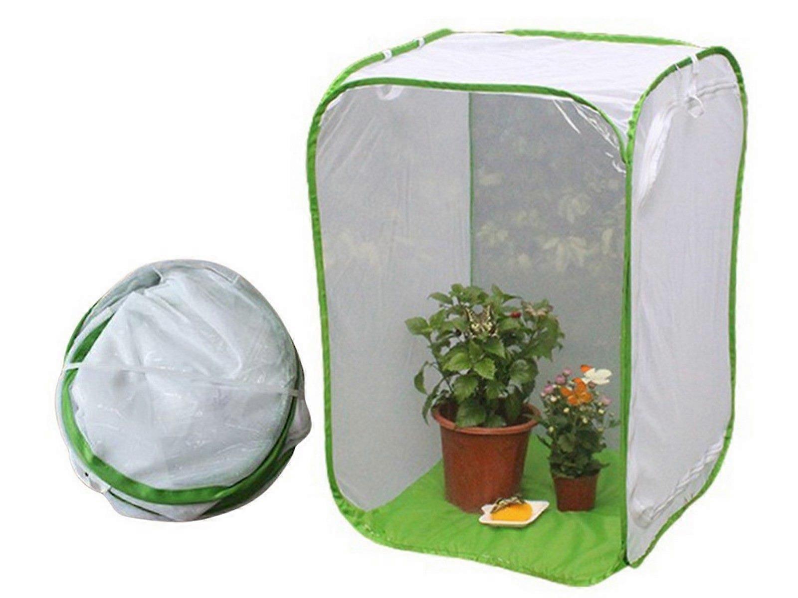 40x40x60cm Folding Insect Cage