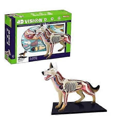 Tedco 4d Vision Dog Anatomy Model
