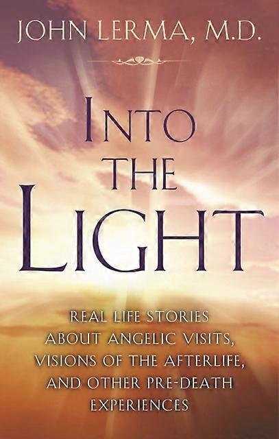 Into The Light by John Lerma Paperback Book