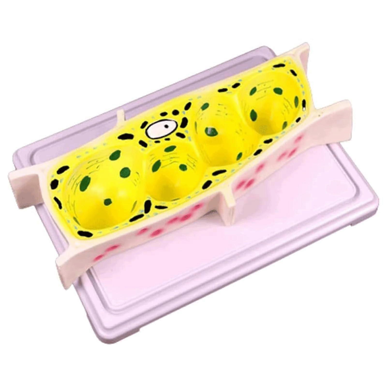 Plant Cell Model with Microscopic Detail and ColorCoded Organelles for Onion Cell Study Teaching