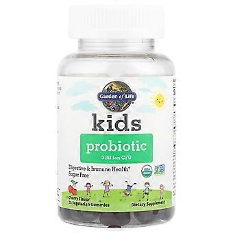 Garden of Life, Kids Probiotic, Cherry, 3 Billion CFU, 30 Vegetarian Gummies