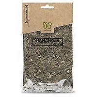 witch hazel leaves 40 g