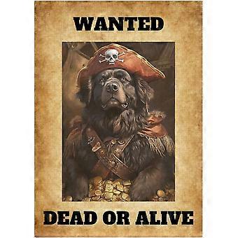 Wanted Newfoundland Dog Pirate Jigsaw Puzzle - Funny Gift for Dog Lovers as Adventure and Fantasy Theme Decor Puzzles SQZ561