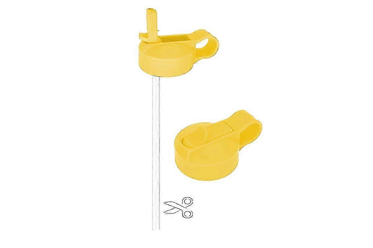 HydroFlask Wide Mouth Straw Lid Kit